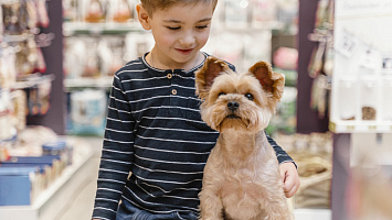 Vente Animaleries for sale in Dubai Marina 240527