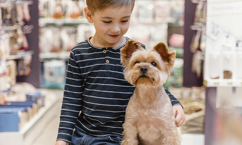 Animalerie Avec Spa De Toilettage Et Garderie Pour Chiens À Dubaï À Vendre 1