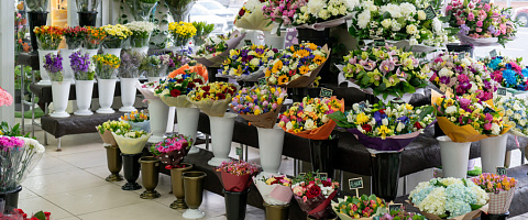 Vente Fleuristes for sale in Dubai Science Park 215611