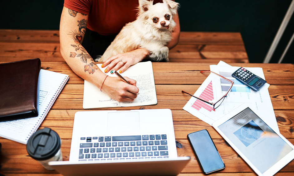 ROI 22%-30% Investissement - Entreprise de services pour animaux de compagnie - Recherche d'investisseurs 1